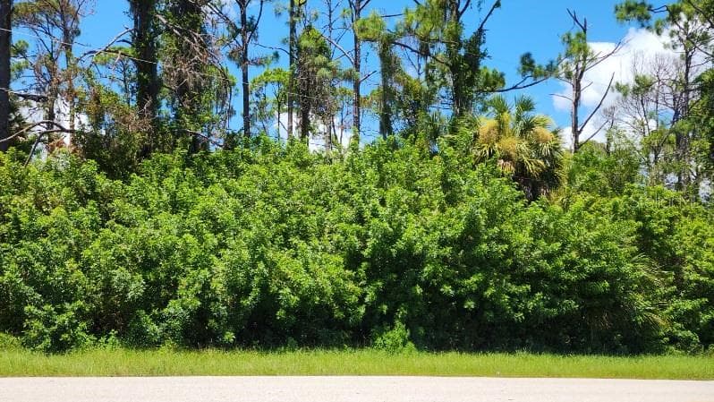 Land at 151 RAVENSWOOD BLVD, PORT CHARLOTTE, photo 4 of 10