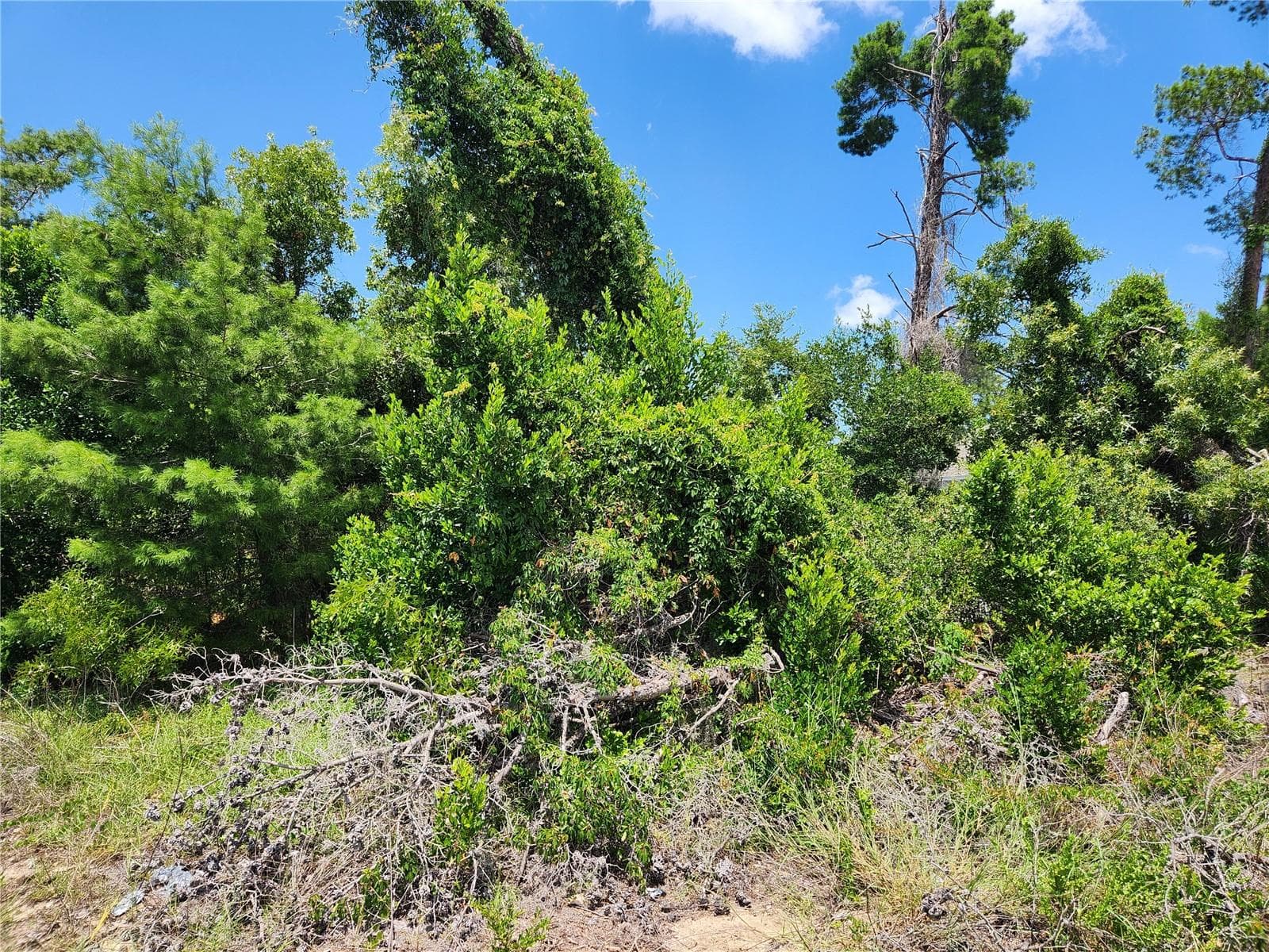 6241 MARINER BLVD #Lot 31