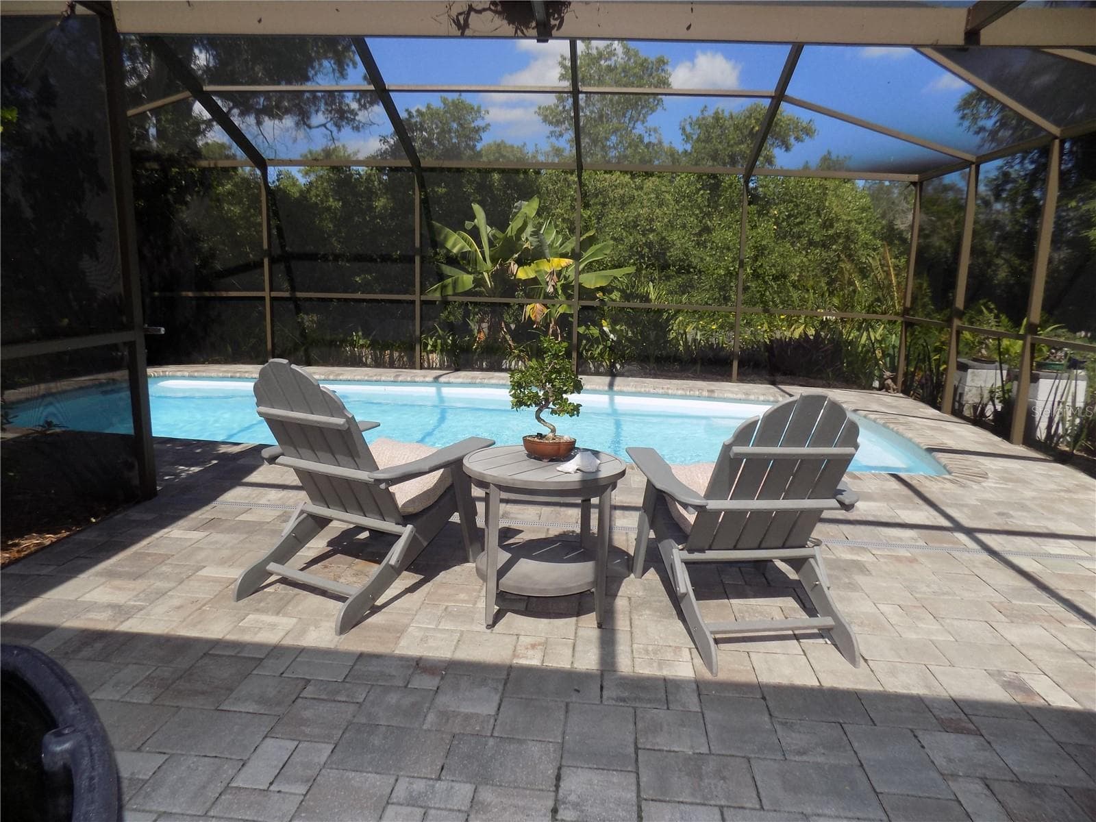 Relaxing vaulted screened pool & paver deck. - 1874 WATEROAK DR W, CLEARWATER