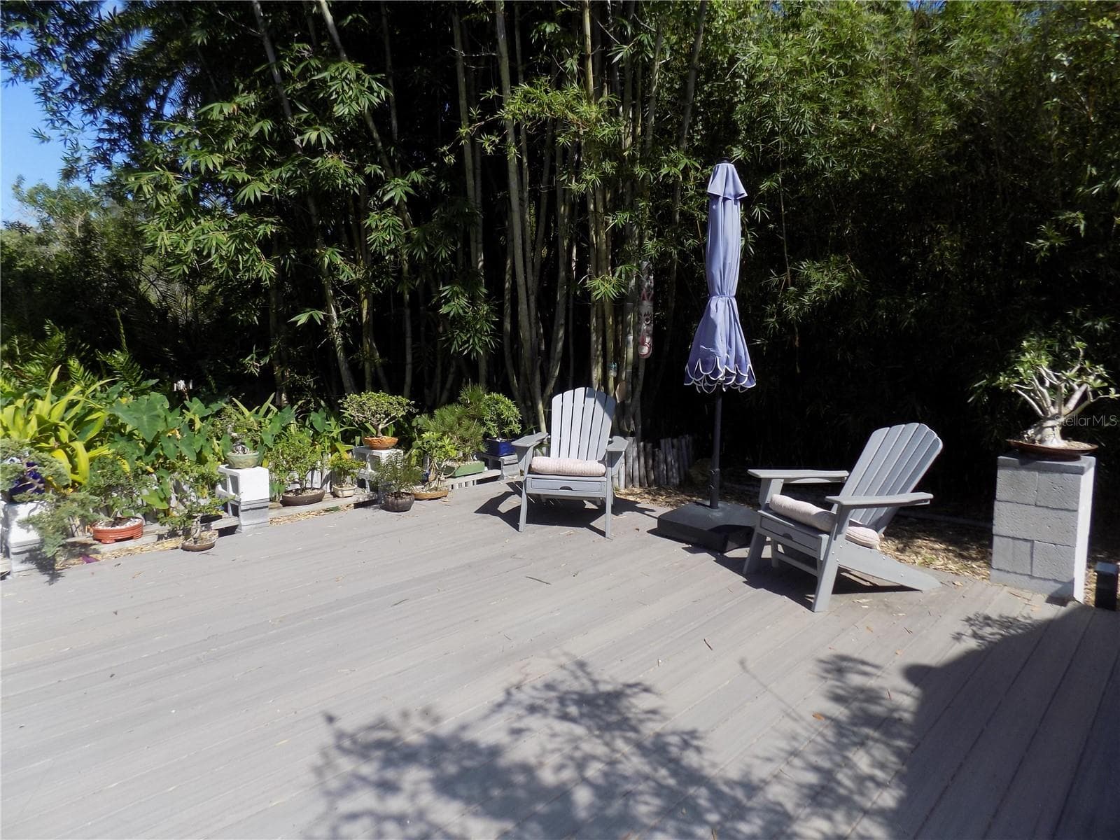 Composite-wood back deck - 1874 WATEROAK DR W, CLEARWATER