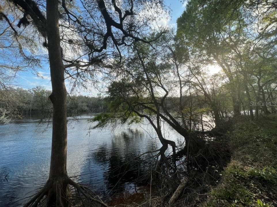 Land at 1263 NW 82ND TER, BELL, photo 2 of 13