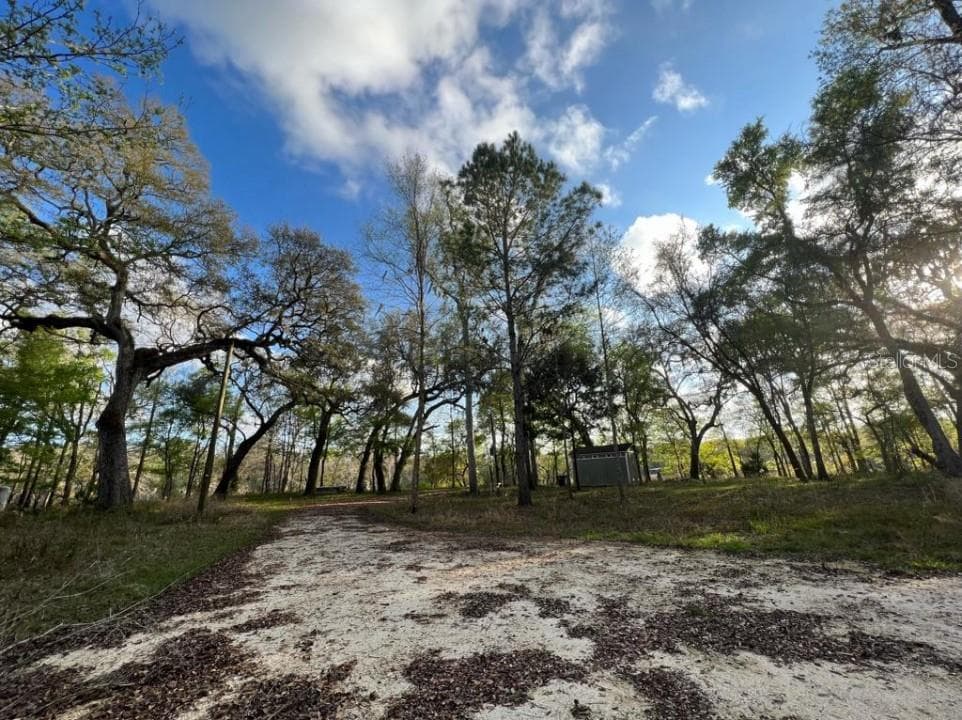 Land at 1263 NW 82ND TER, BELL, photo 6 of 13