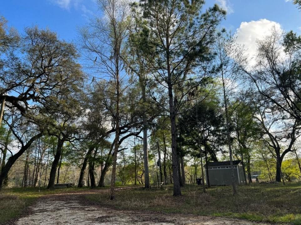 Land at 1263 NW 82ND TER, BELL, photo 7 of 13