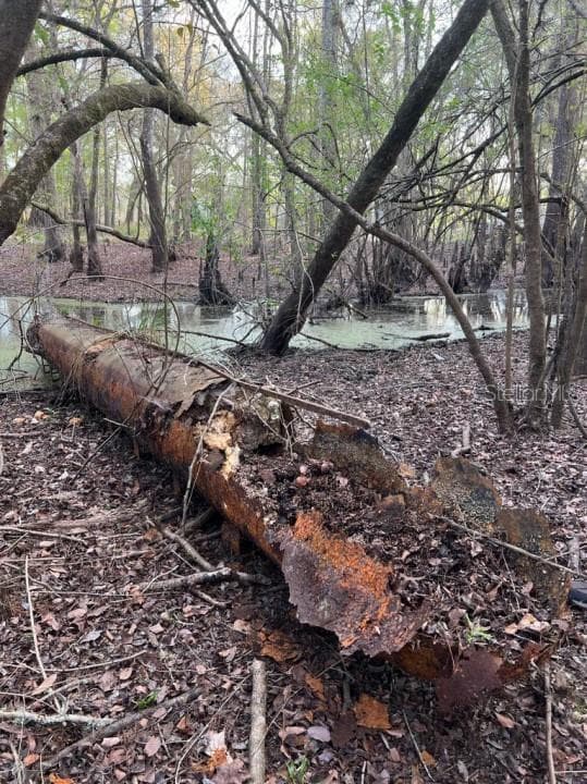 Land at 1263 NW 82ND TER, BELL, photo 13 of 13