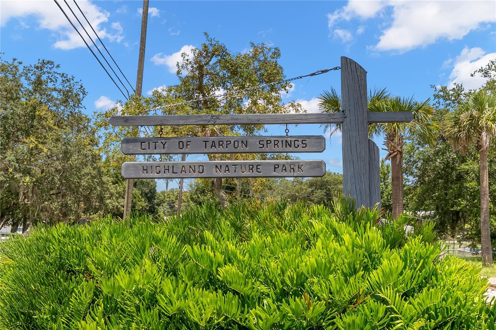 Single Family Residence at 1435 WEGMANN DR, TARPON SPRINGS, photo 24 of 31