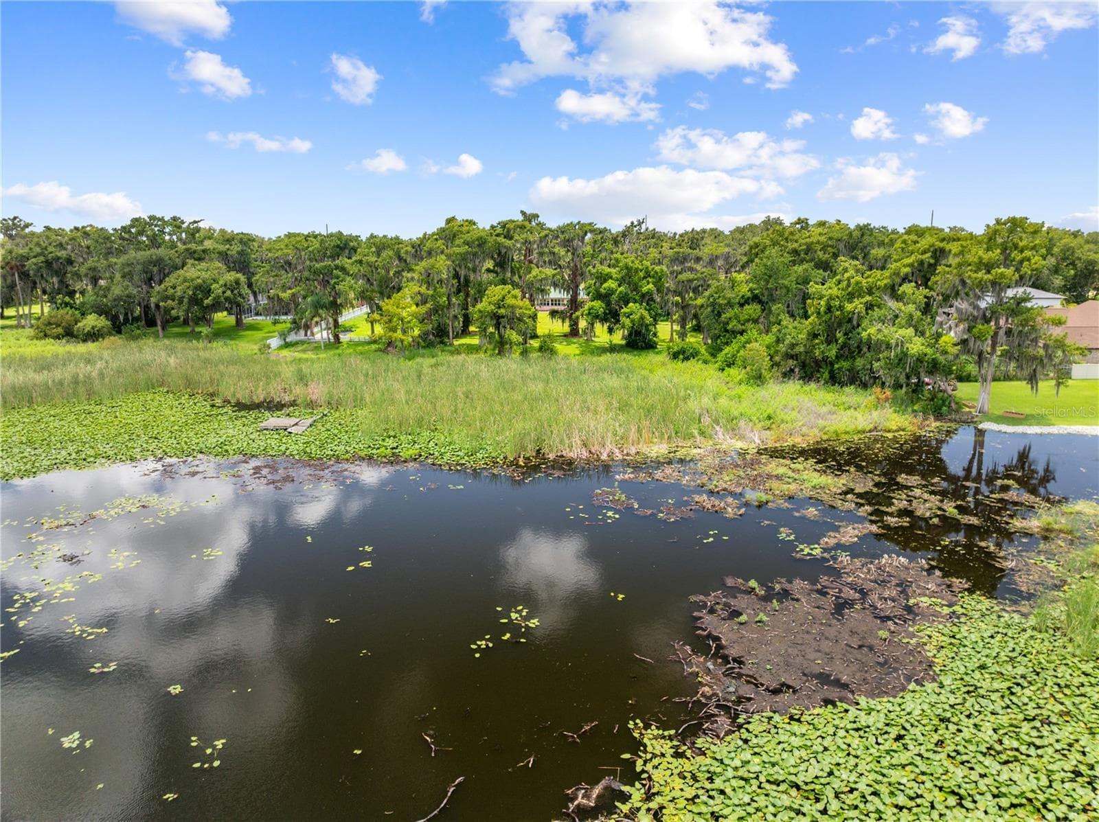 Aerial View of the lakefront - 2557 AMES HAVEN RD, KISSIMMEE