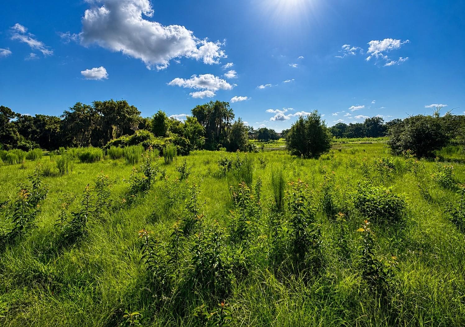 Land at 8806 E SWEETWATER DR, INVERNESS, photo 6 of 10