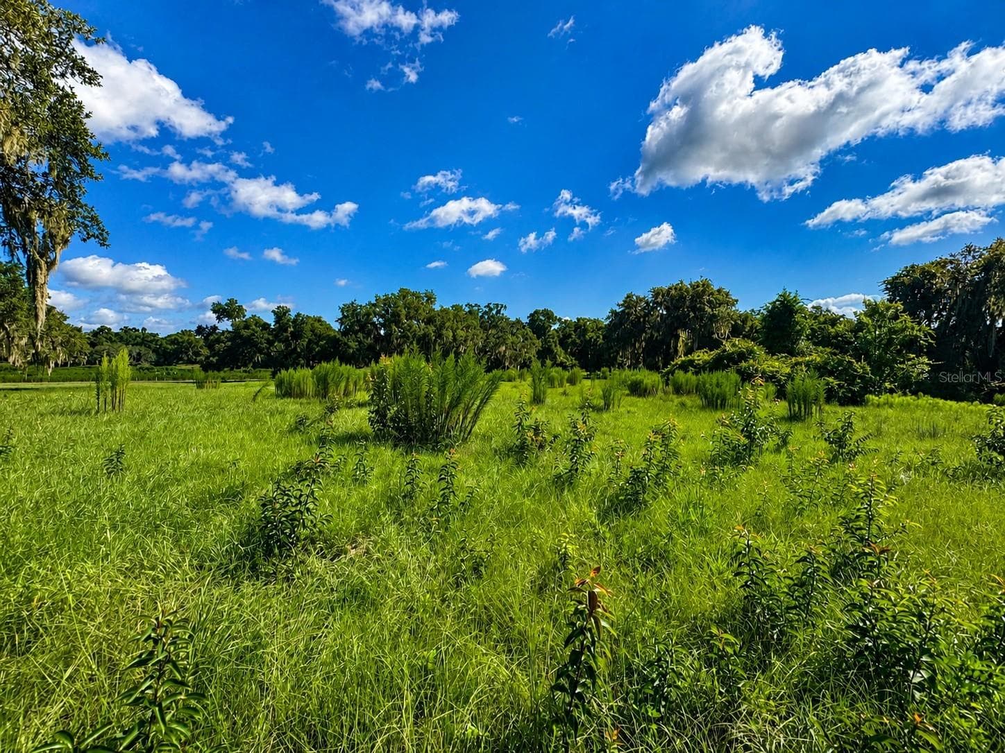 Land at 8806 E SWEETWATER DR, INVERNESS, photo 7 of 10