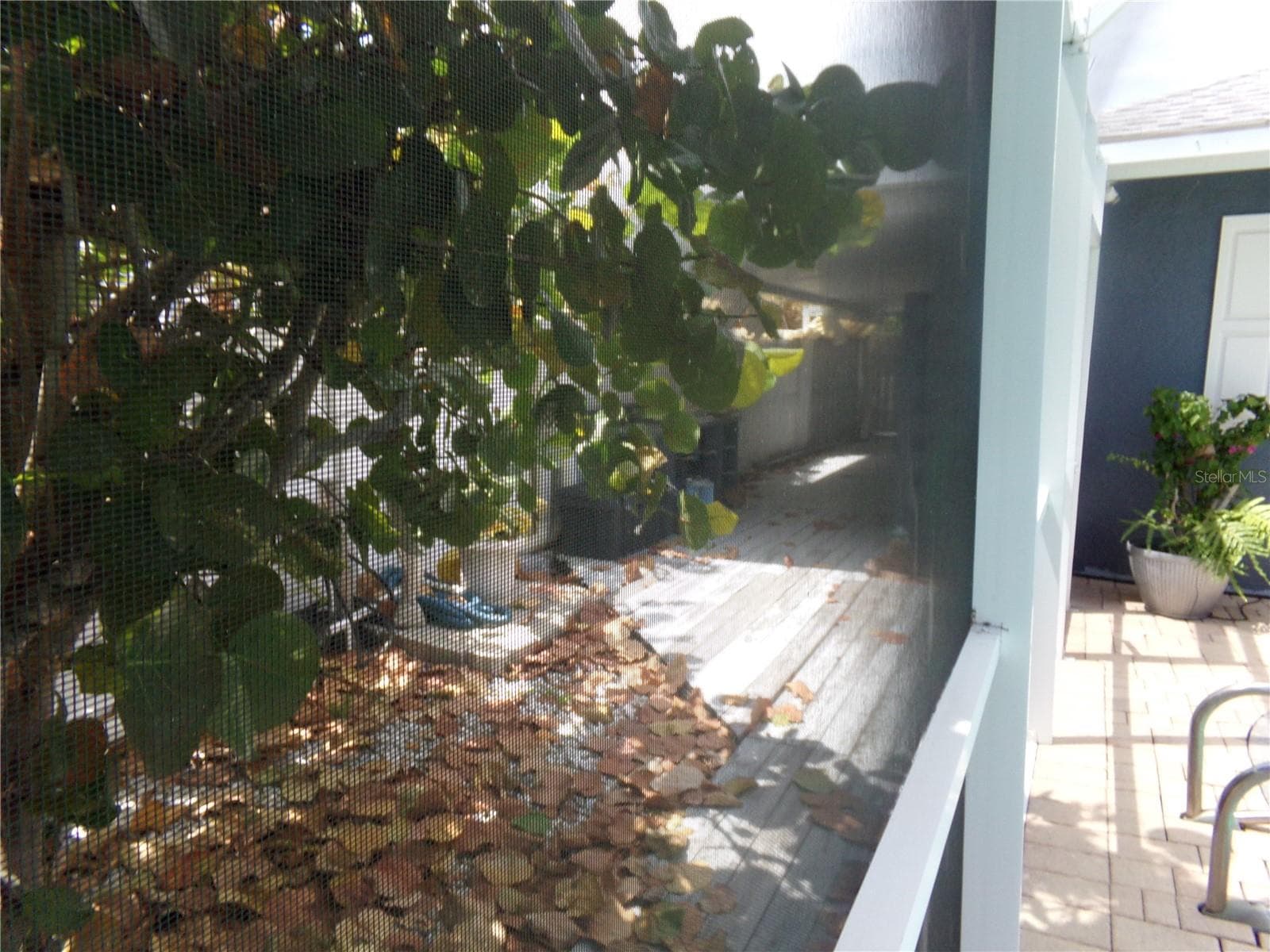 Patio - 9312 KINGSTON RD, BRADENTON