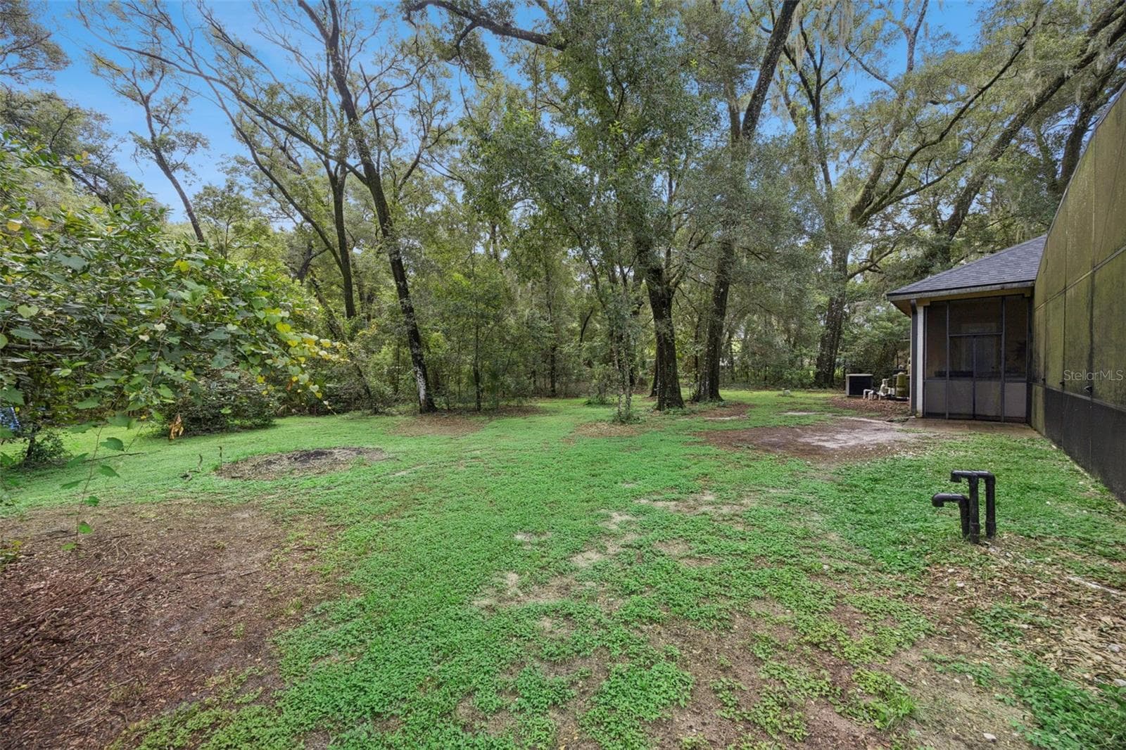 Open lawn extends beyond the pool enclosure with room to enjoy the acreage. - 30440 JUBILEE WAY, SORRENTO