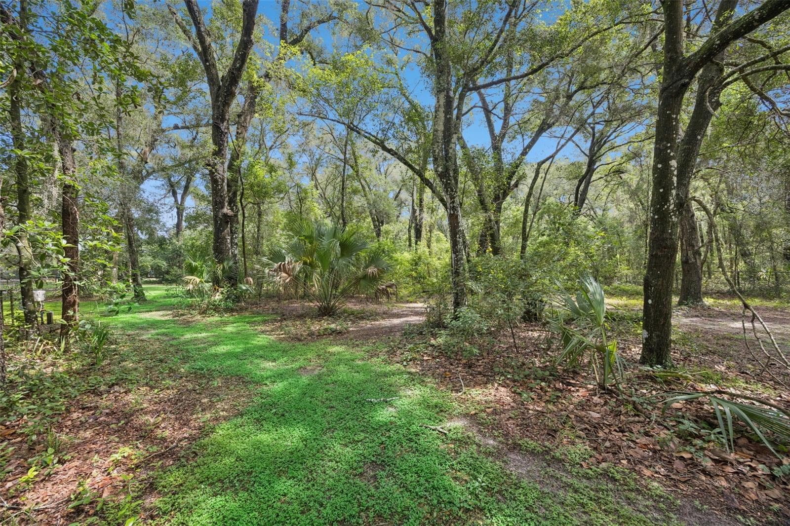 Mature trees provide a peaceful natural backdrop and additional privacy. - 30440 JUBILEE WAY, SORRENTO