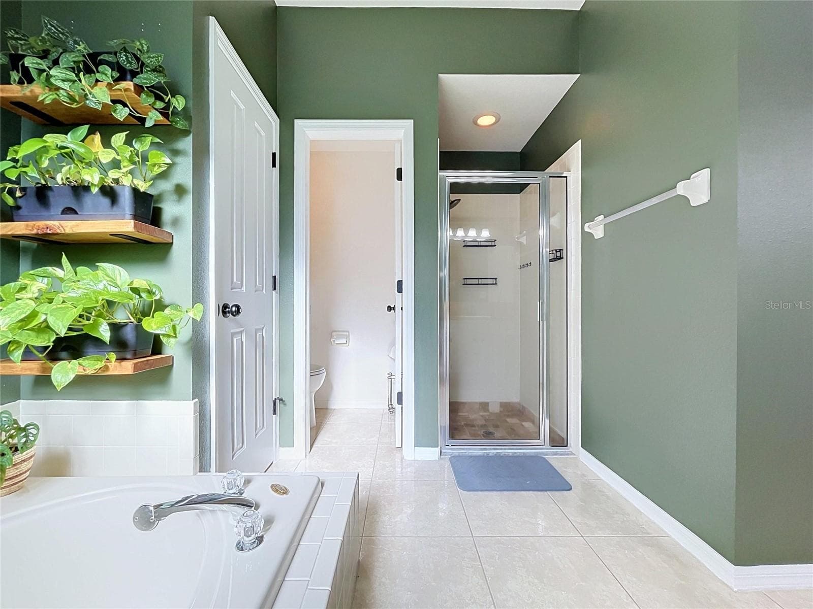 En-Suite Primary Bathroom - 4209 AMBER RIDGE LN, VALRICO