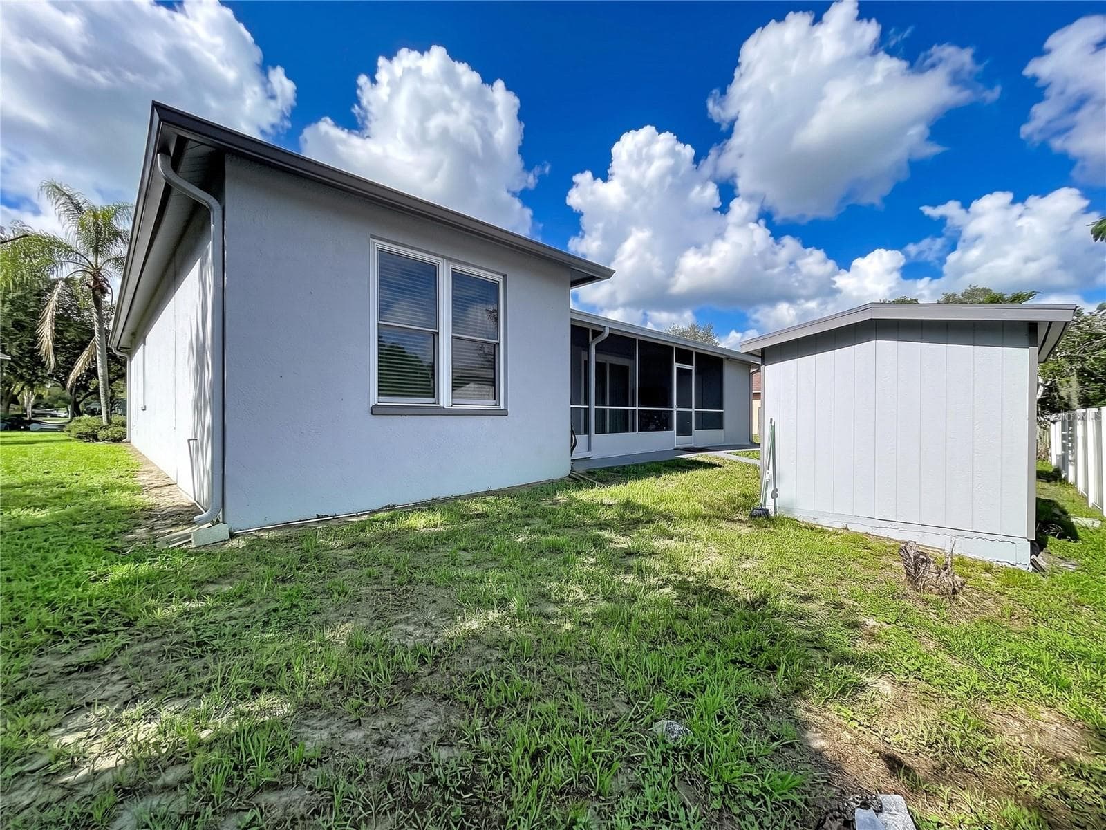 Backyard and Shed - 4209 AMBER RIDGE LN, VALRICO
