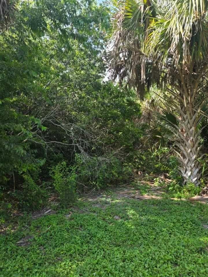 Land at 16980 SW CONNERS HWY, CANAL POINT, photo 10 of 14