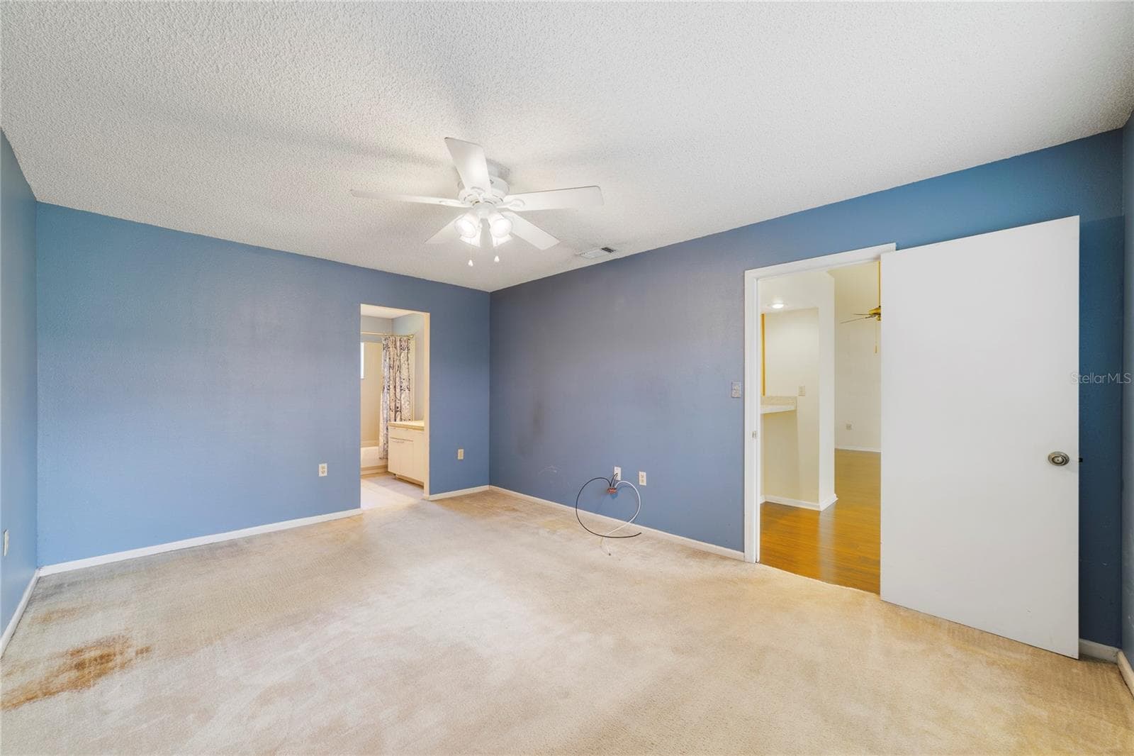 Spacious Primary Bedroom - 260 W SABAL PALM PL, LONGWOOD