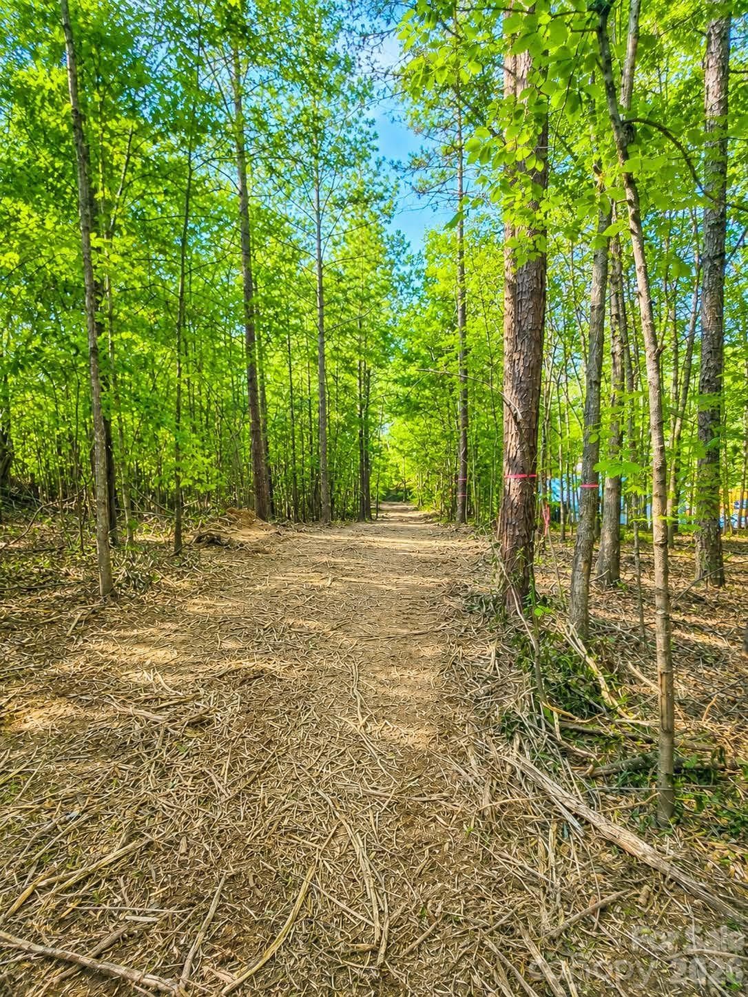Acreage at Albemarle, photo 4 of 6