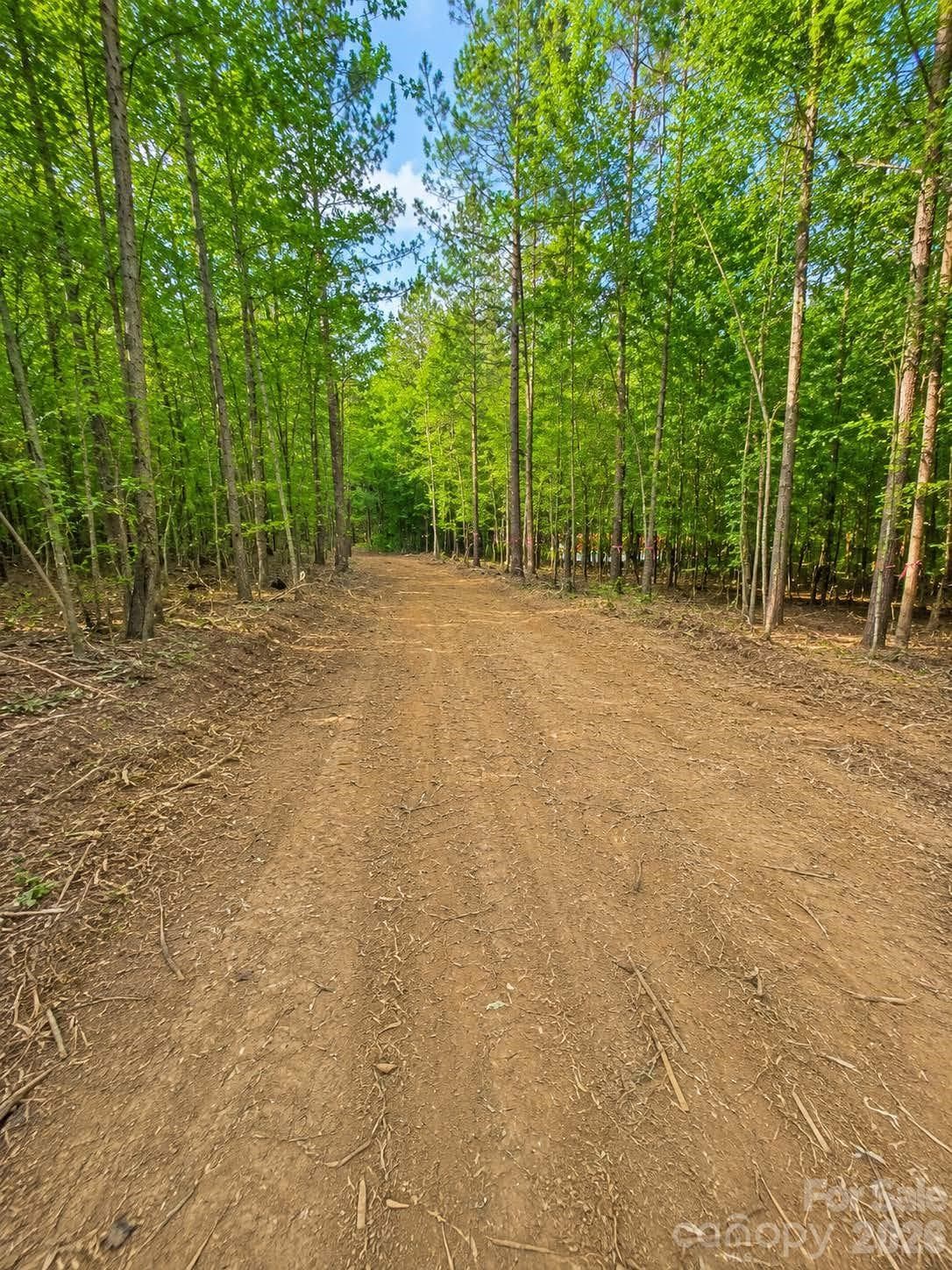 Acreage at Albemarle, photo 5 of 6