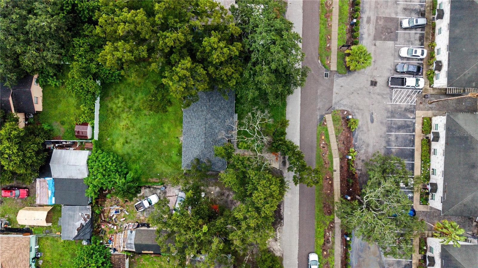 Overview of home and large backyard - 810 E 120TH AVE, TAMPA