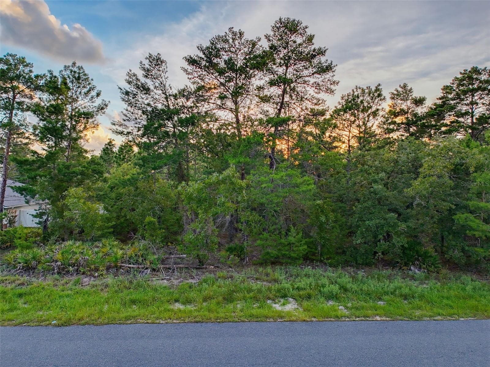 Land at 18367 MABERLY RD, WEEKI WACHEE, photo 3 of 12