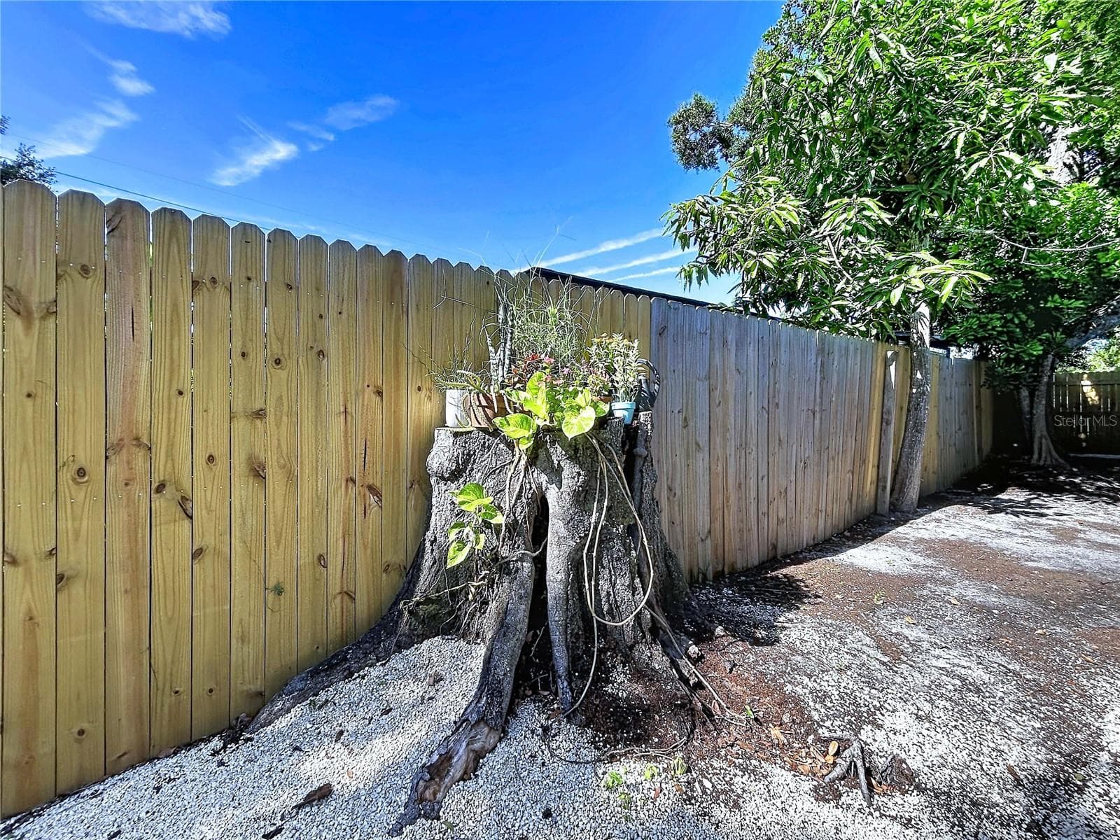 Single Family Residence at 815 35TH ST W, BRADENTON, photo 49 of 51