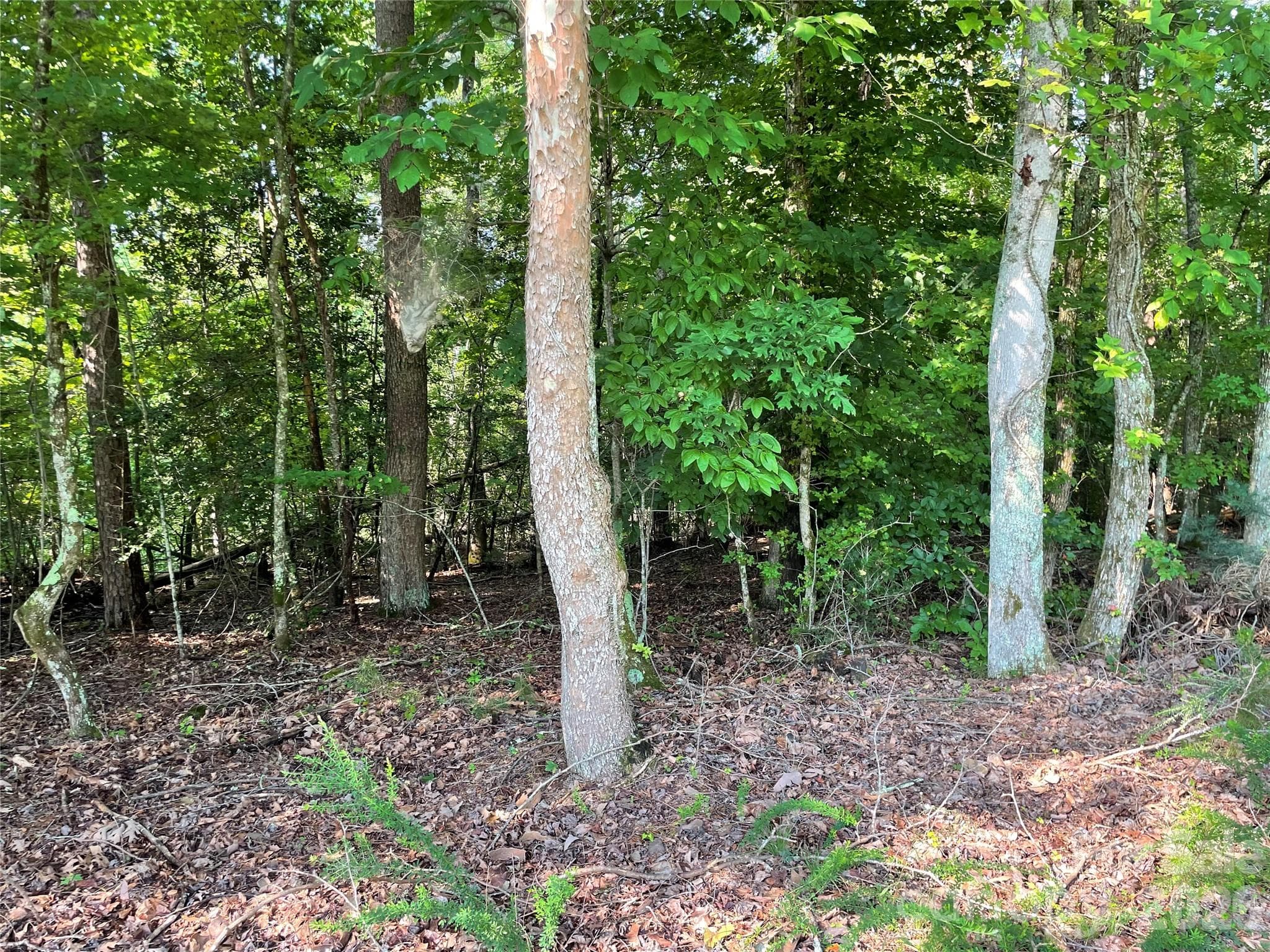 Lot at 0 River Bend Drive, Connelly Springs, photo 4 of 10