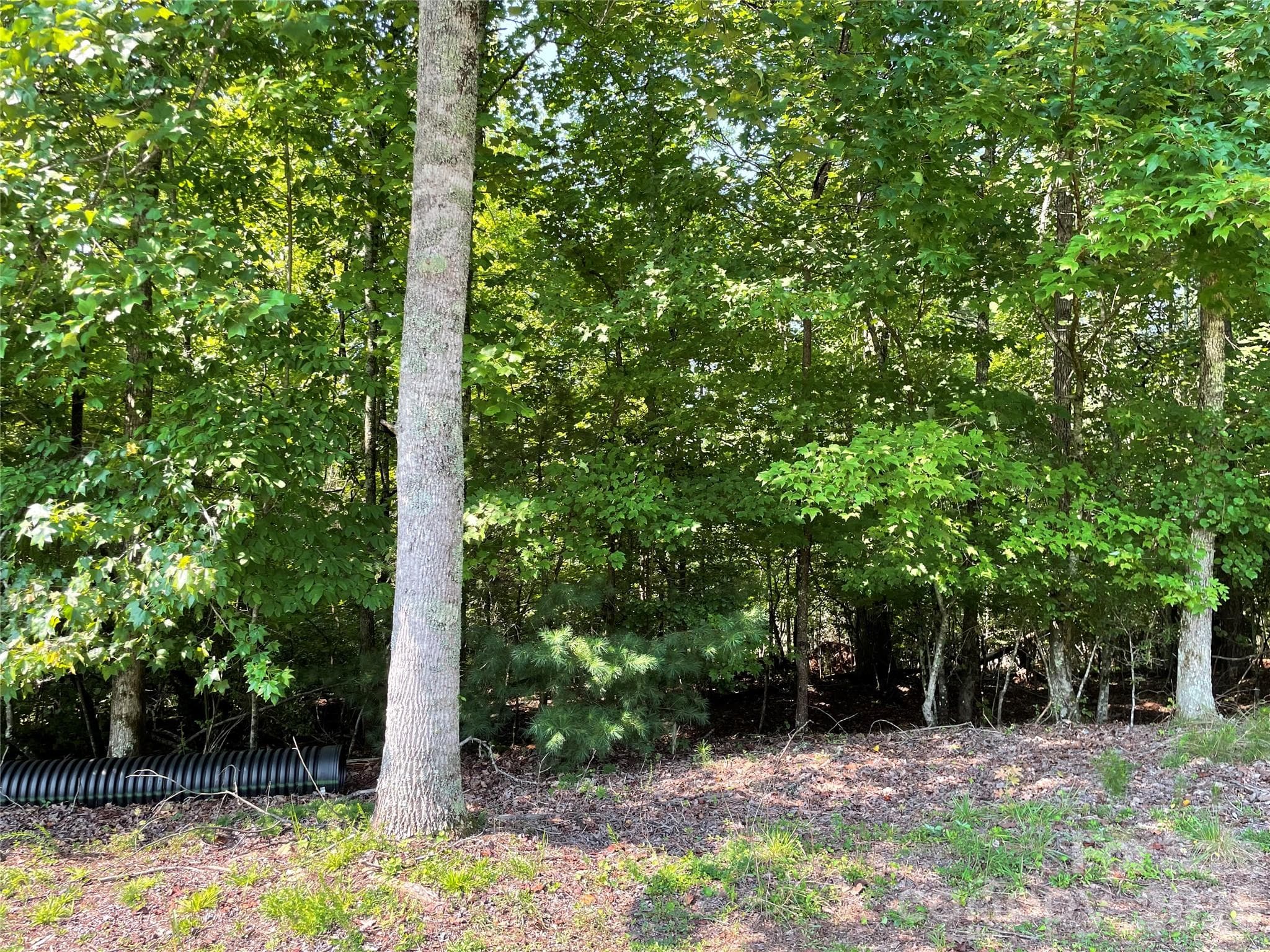 Lot at 0 River Bend Drive, Connelly Springs, photo 5 of 10