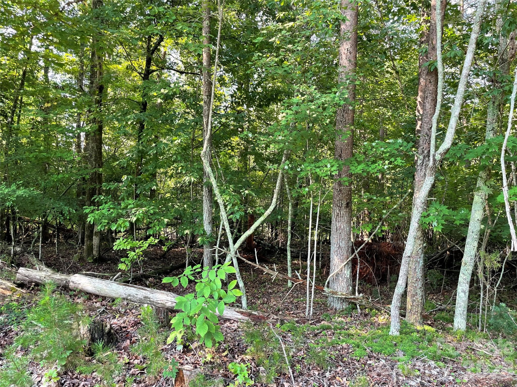 Lot at 0 River Bend Drive, Connelly Springs, photo 3 of 8