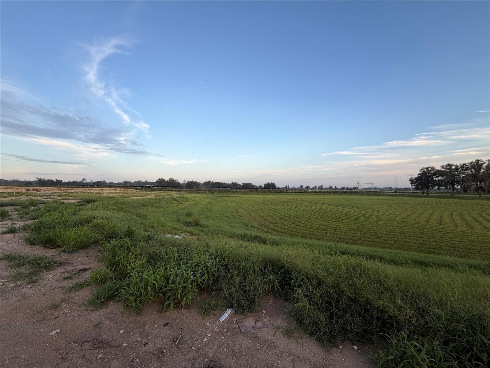 Backyard view - 122 & 146 SW 212ND DR, NEWBERRY