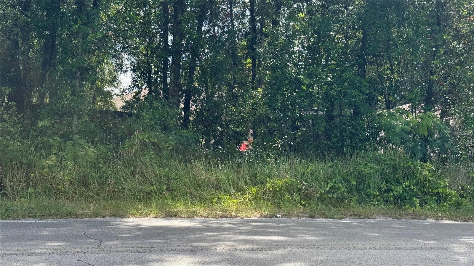 Land at Lot #00 SE 62ND ST, BELLEVIEW, photo 3 of 6