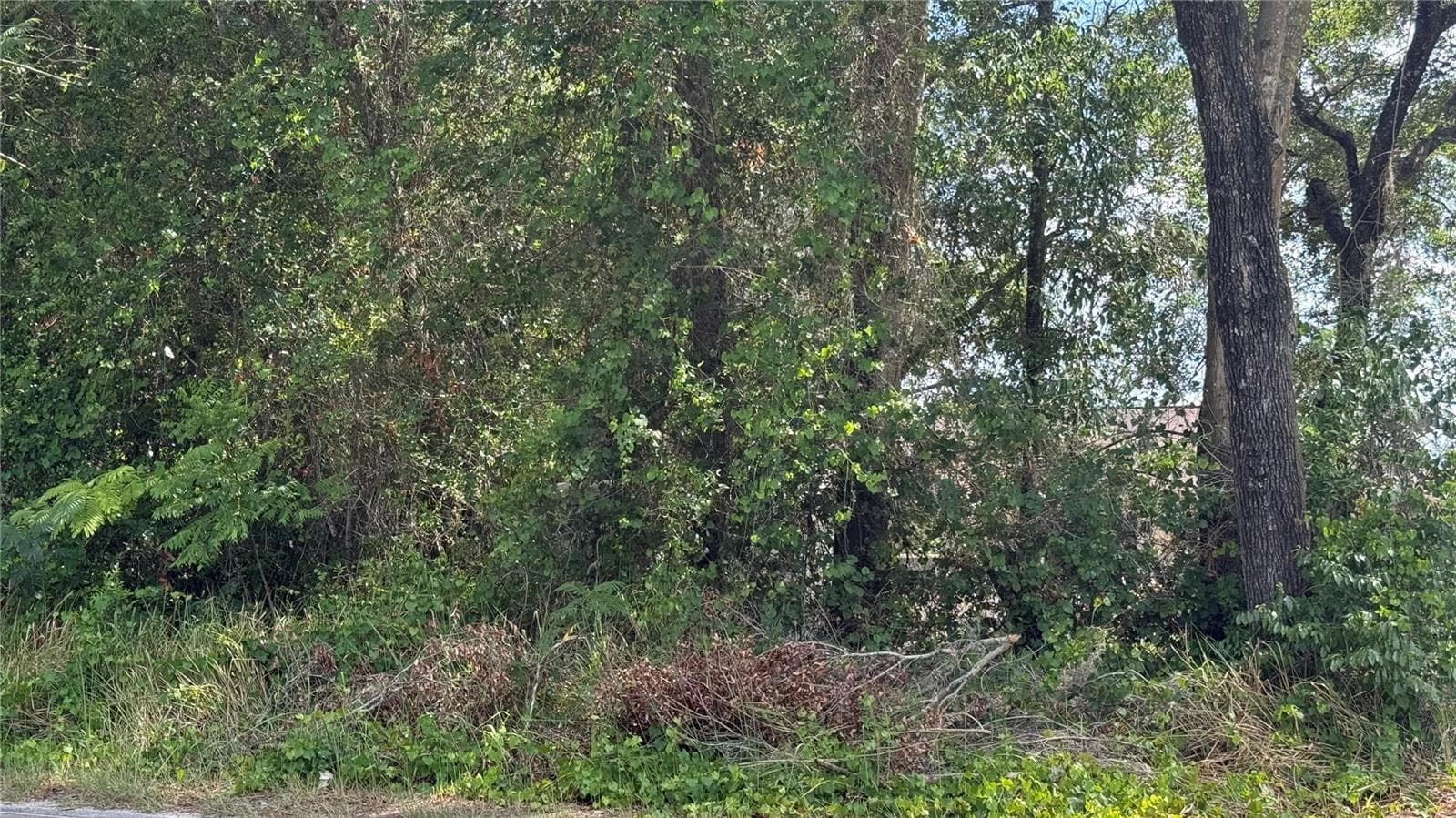 Land at Lot #00 SE 62ND ST, BELLEVIEW, photo 4 of 6