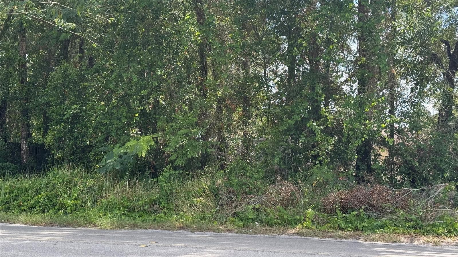 Land at Lot #00 SE 62ND ST, BELLEVIEW, photo 5 of 6