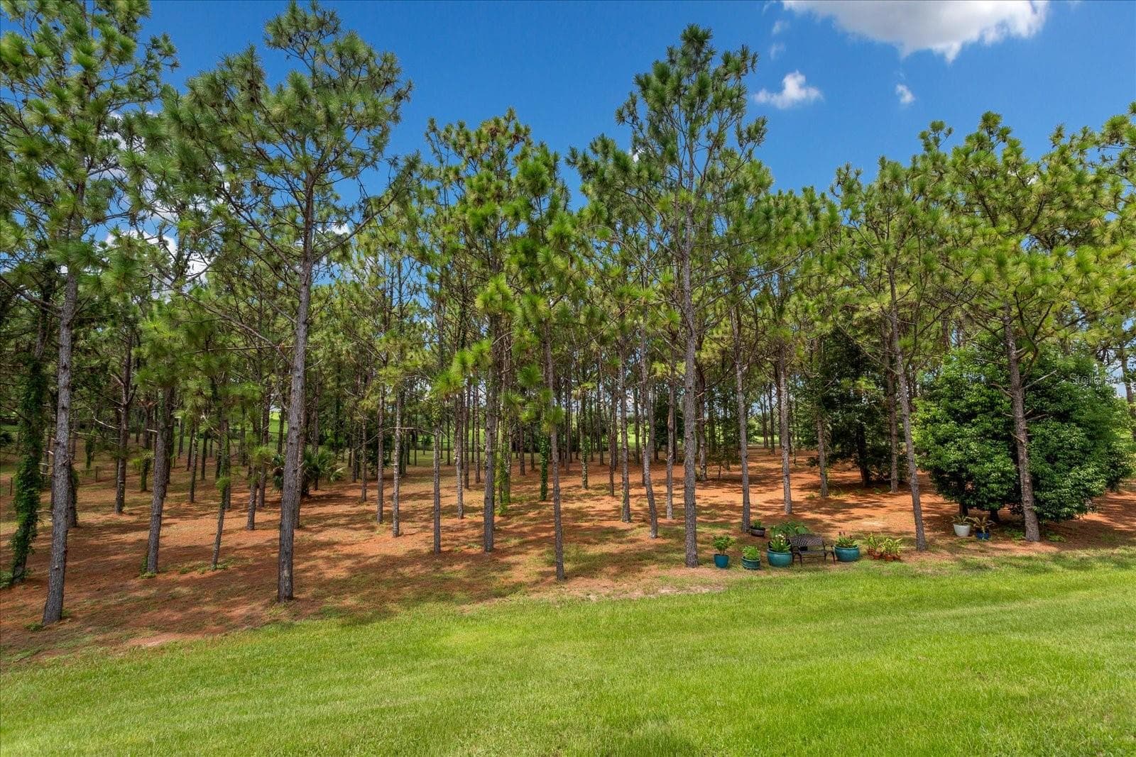 Single Family Residence at 5208 EFFIE DR, APOPKA, photo 49 of 73