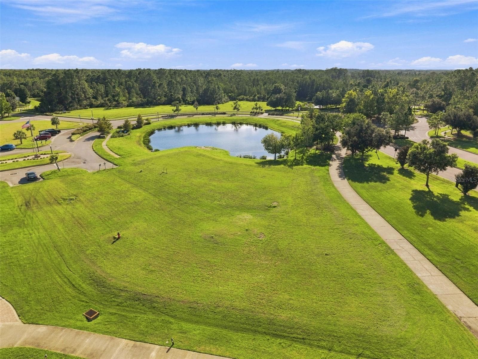 Single Family Residence at 9189 SHADYSIDE LN, LAND O LAKES, photo 80 of 80