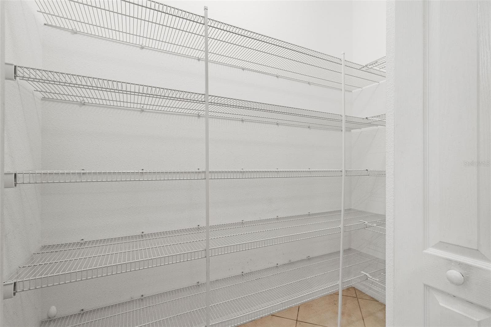 Walk-In Pantry — Large walk-in pantry with extensive built-in shelving provides excellent kitchen storage. - 13728 REINDEER CIR, HUDSON