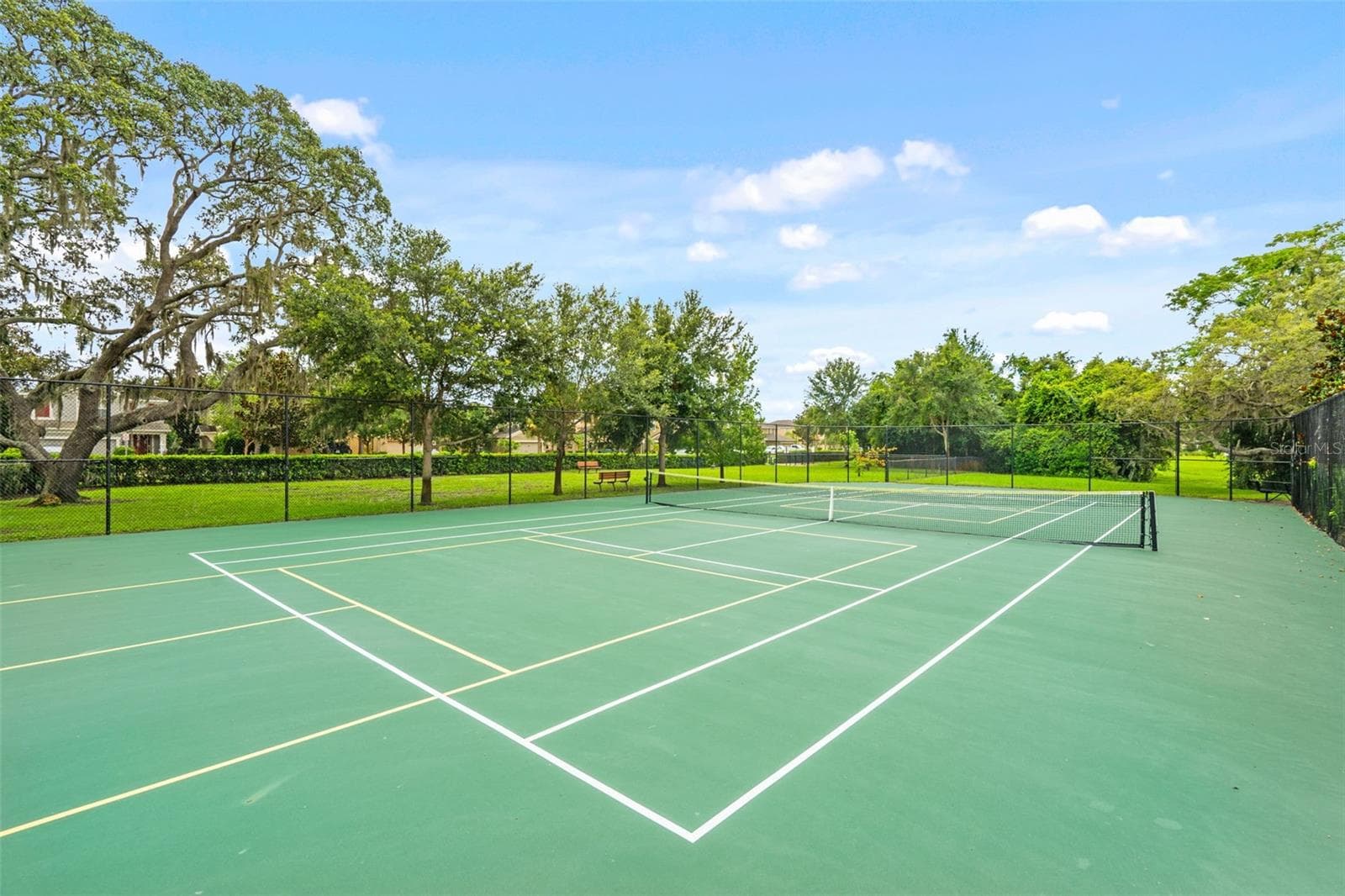 Community Tennis Courts – Fenced community tennis courts surrounded by mature landscaping. - 13728 REINDEER CIR, HUDSON