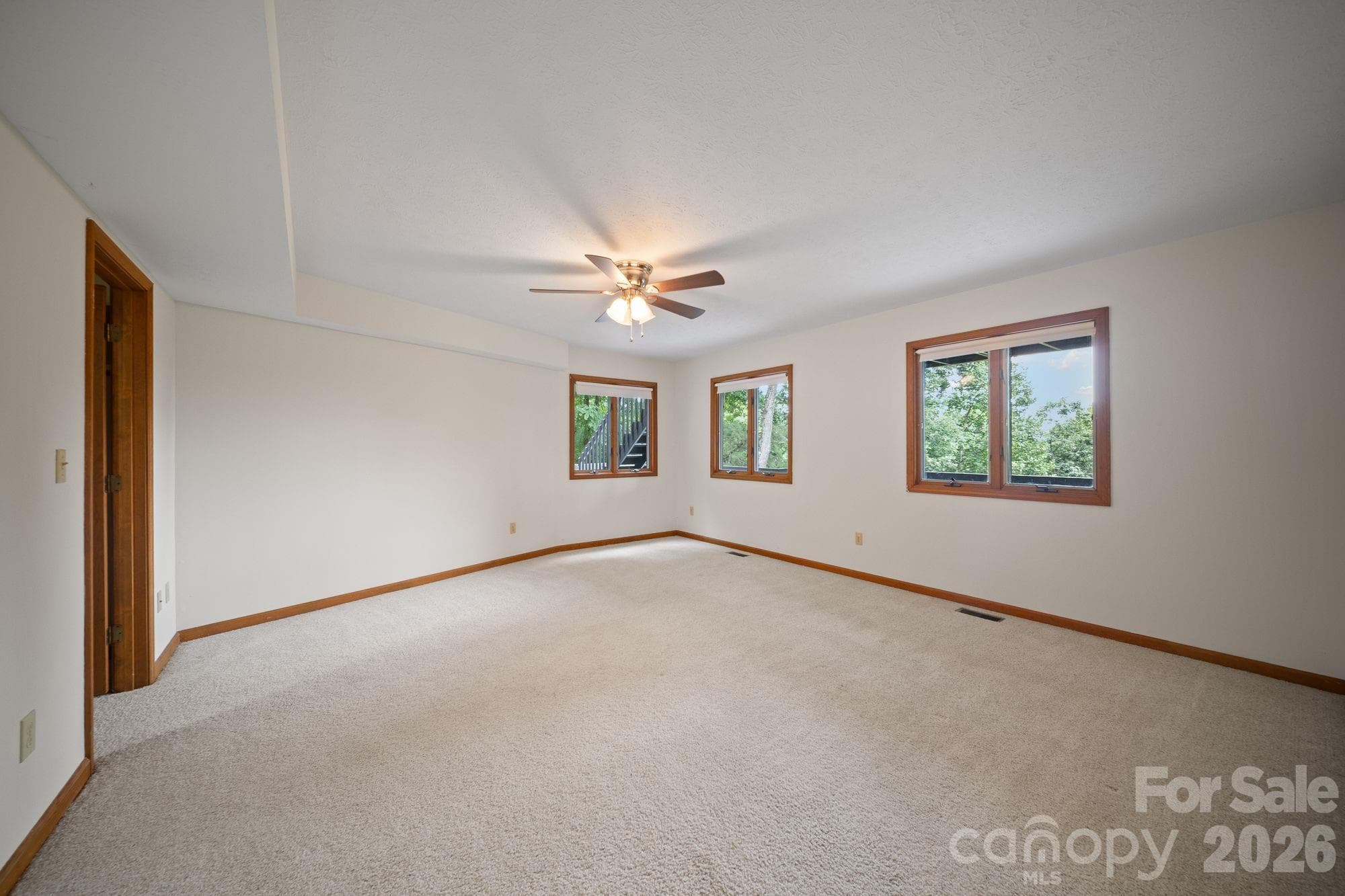 Unstaged bedroom/flex  in basement 1 - 1105 High Vista Drive, Mills River