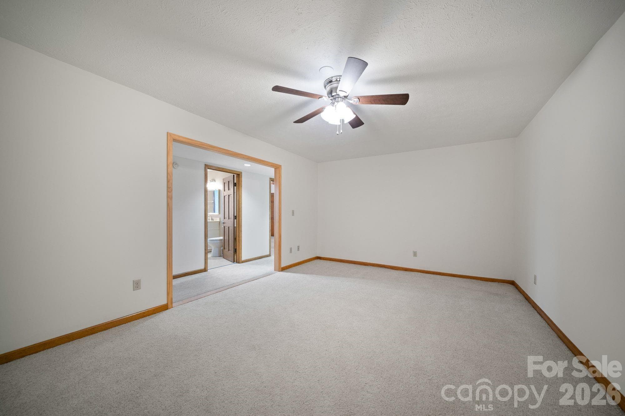 Unstaged theater/flex in basement - 1105 High Vista Drive, Mills River