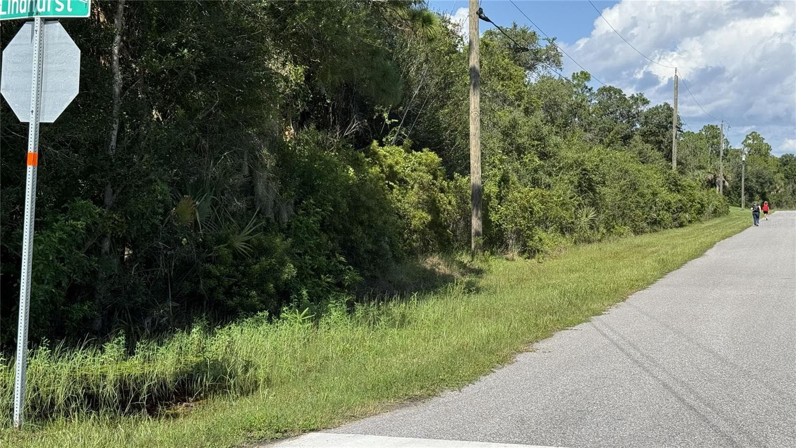 Land at 12502 MOHICAN AVE, PORT CHARLOTTE, photo 3 of 3