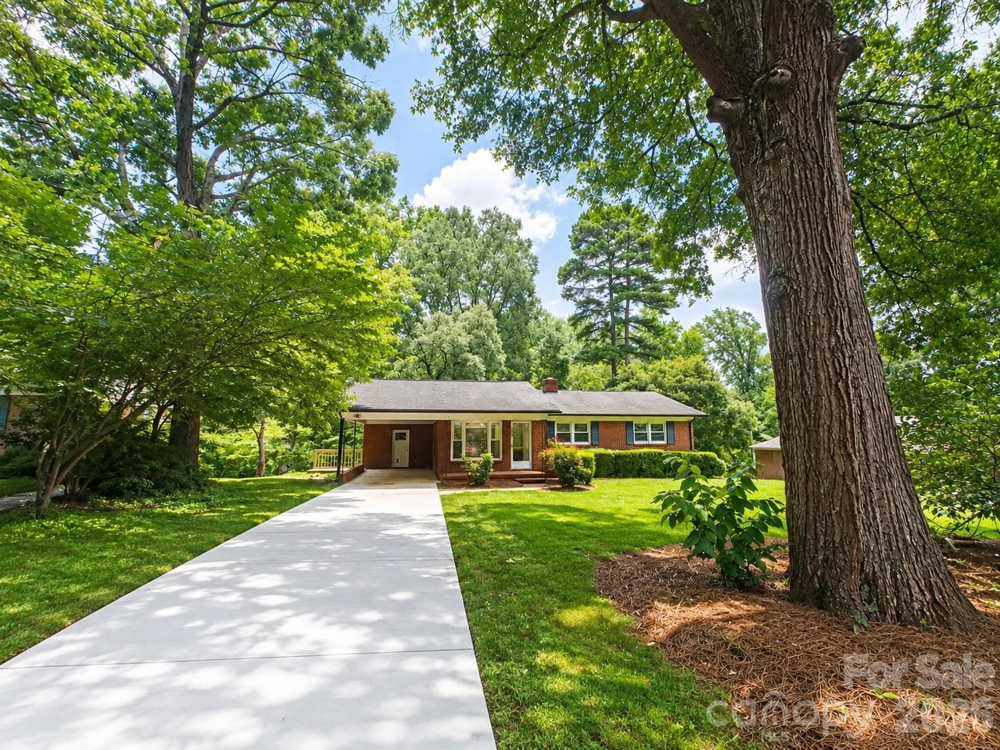 109 Holly Drive