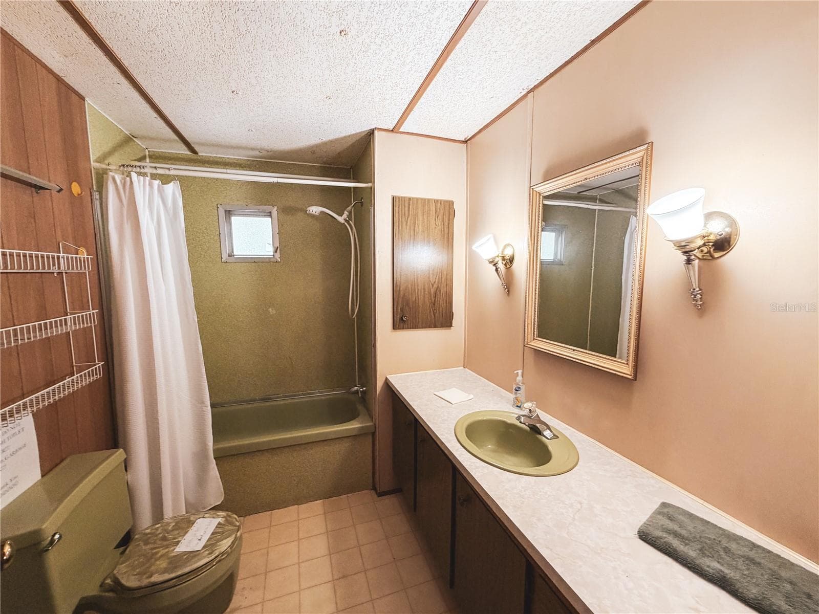 Mobile Home at 170 E COWPEN LAKE POINT RD, HAWTHORNE, photo 11 of 28