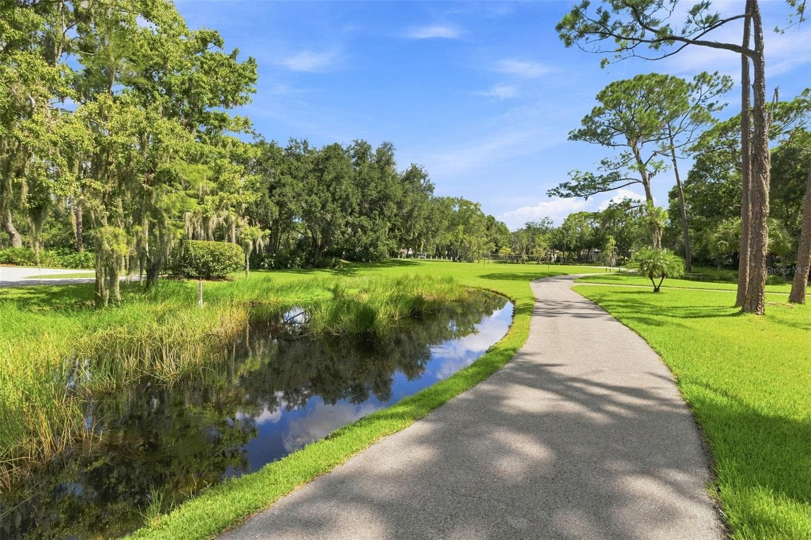 Single Family Residence at 5091 JASMINE WAY, PALM HARBOR, photo 47 of 53