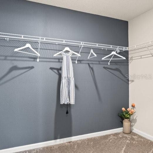 Owner’s Walk In Closet - 2009 MYRTLE PINE ST, KISSIMMEE