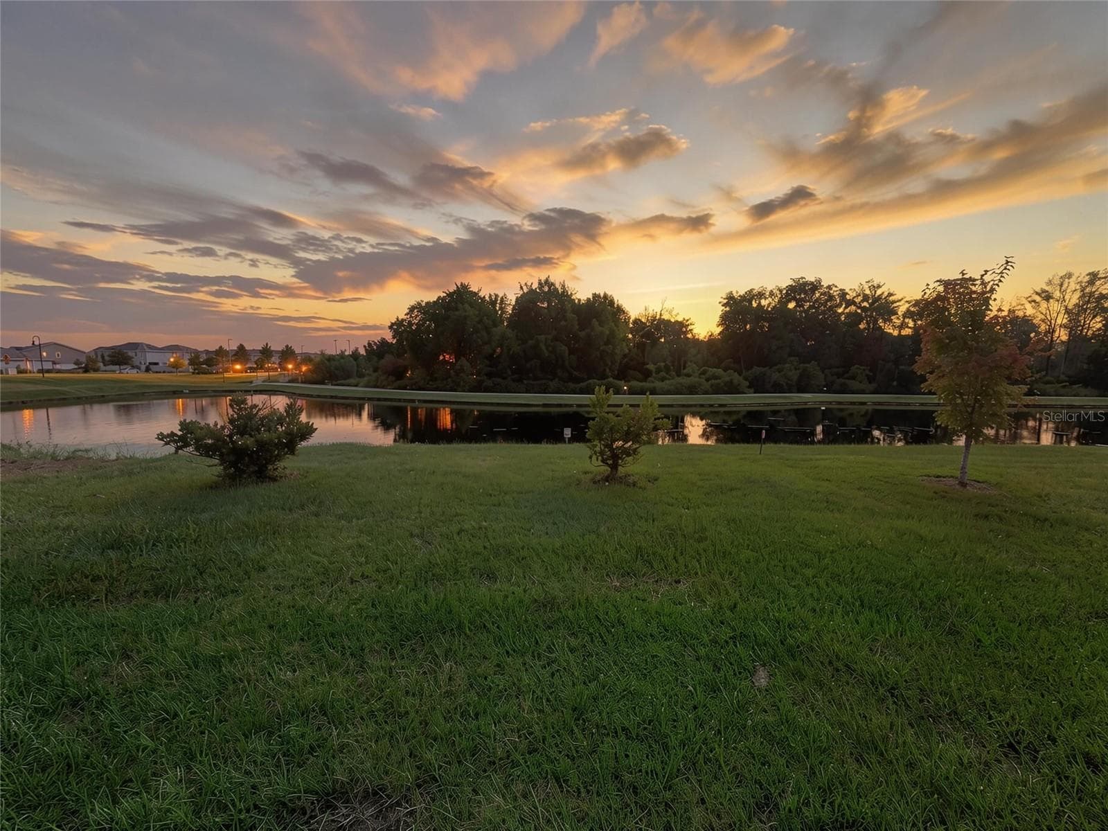 Back Yard - 2009 MYRTLE PINE ST, KISSIMMEE