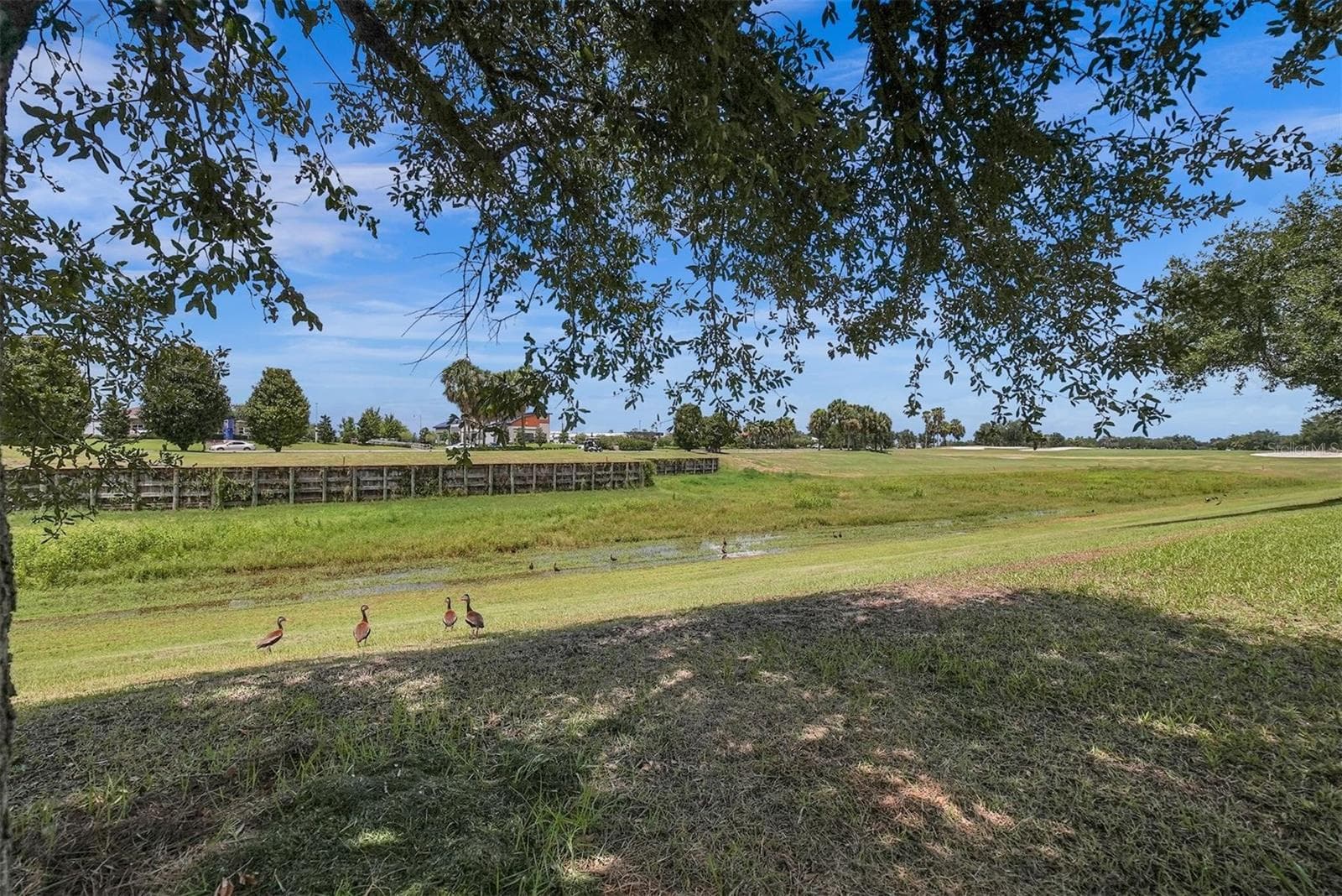 Single Family Residence at 2841 APACHE CT, THE VILLAGES, photo 68 of 73