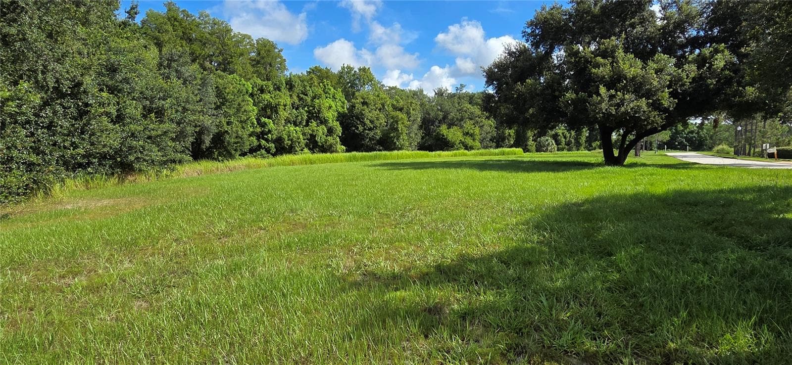 NORTHERLY VIEW OF CLEARED PORTION OF LOT - BELLERIVE DR, CLERMONT