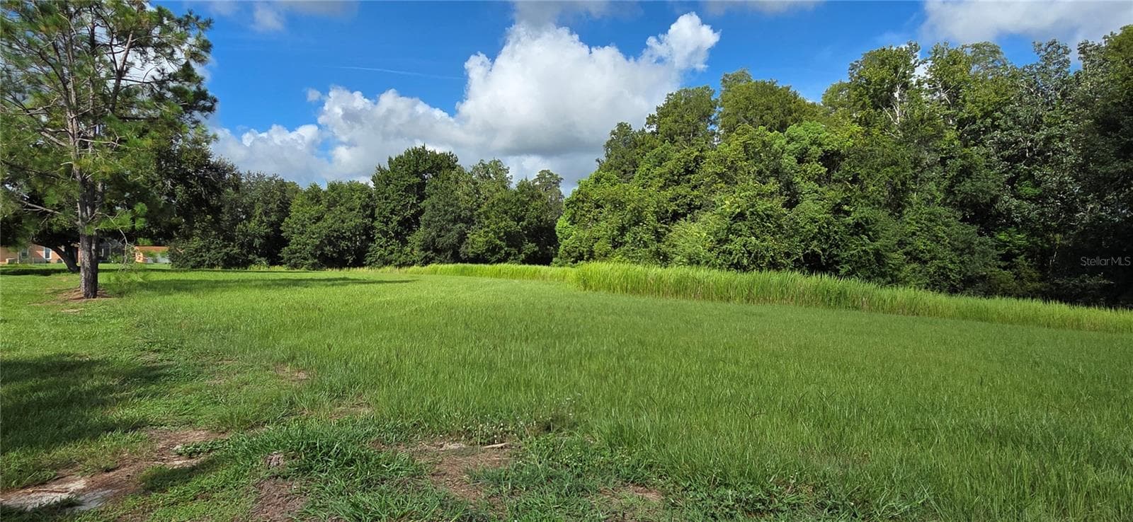 SOUTHERLY VIEW OF CLEARED PORTION OF LOT - BELLERIVE DR, CLERMONT