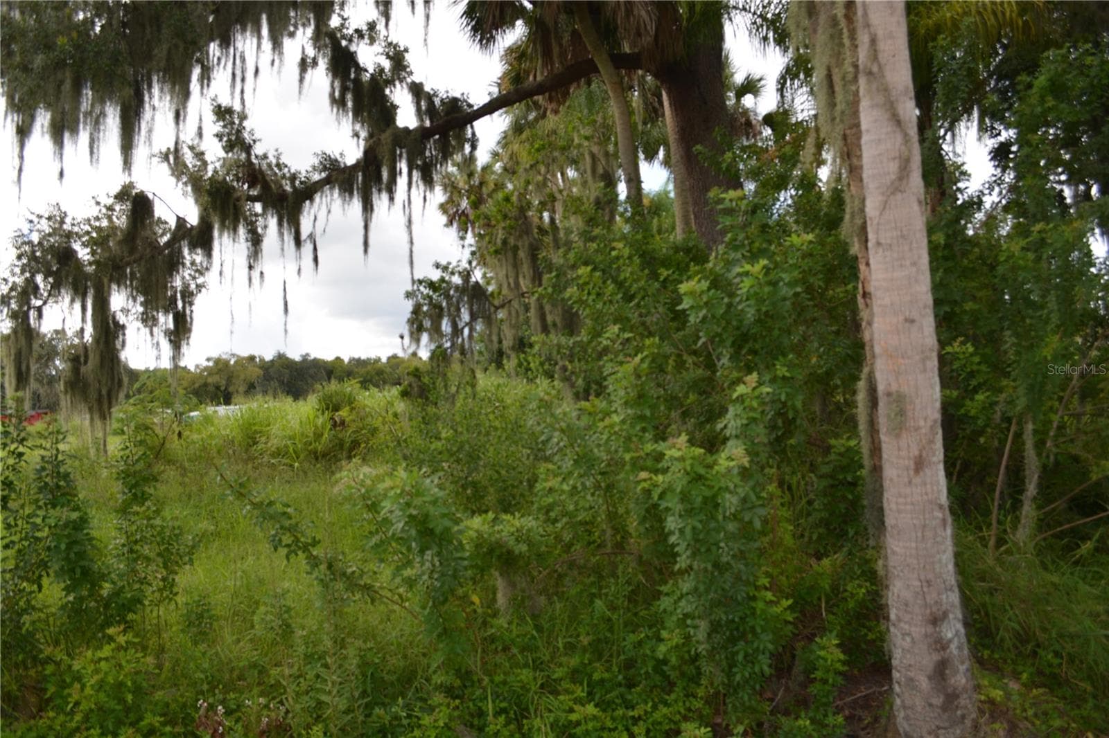 Mixed Use at 4045 HONEY BEE PT RD, SANFORD, photo 5 of 17