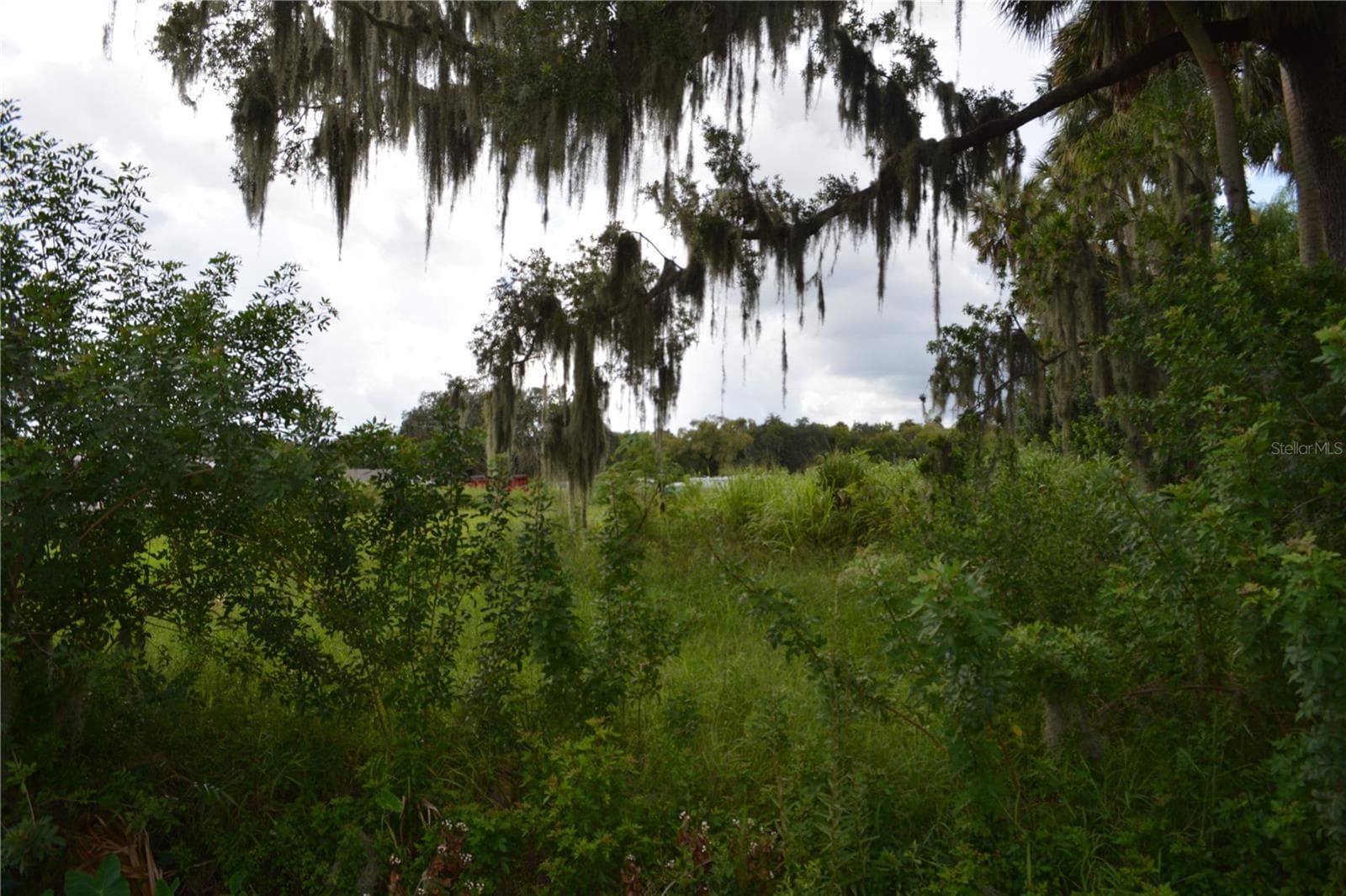 Mixed Use at 4045 HONEY BEE PT RD, SANFORD, photo 8 of 17