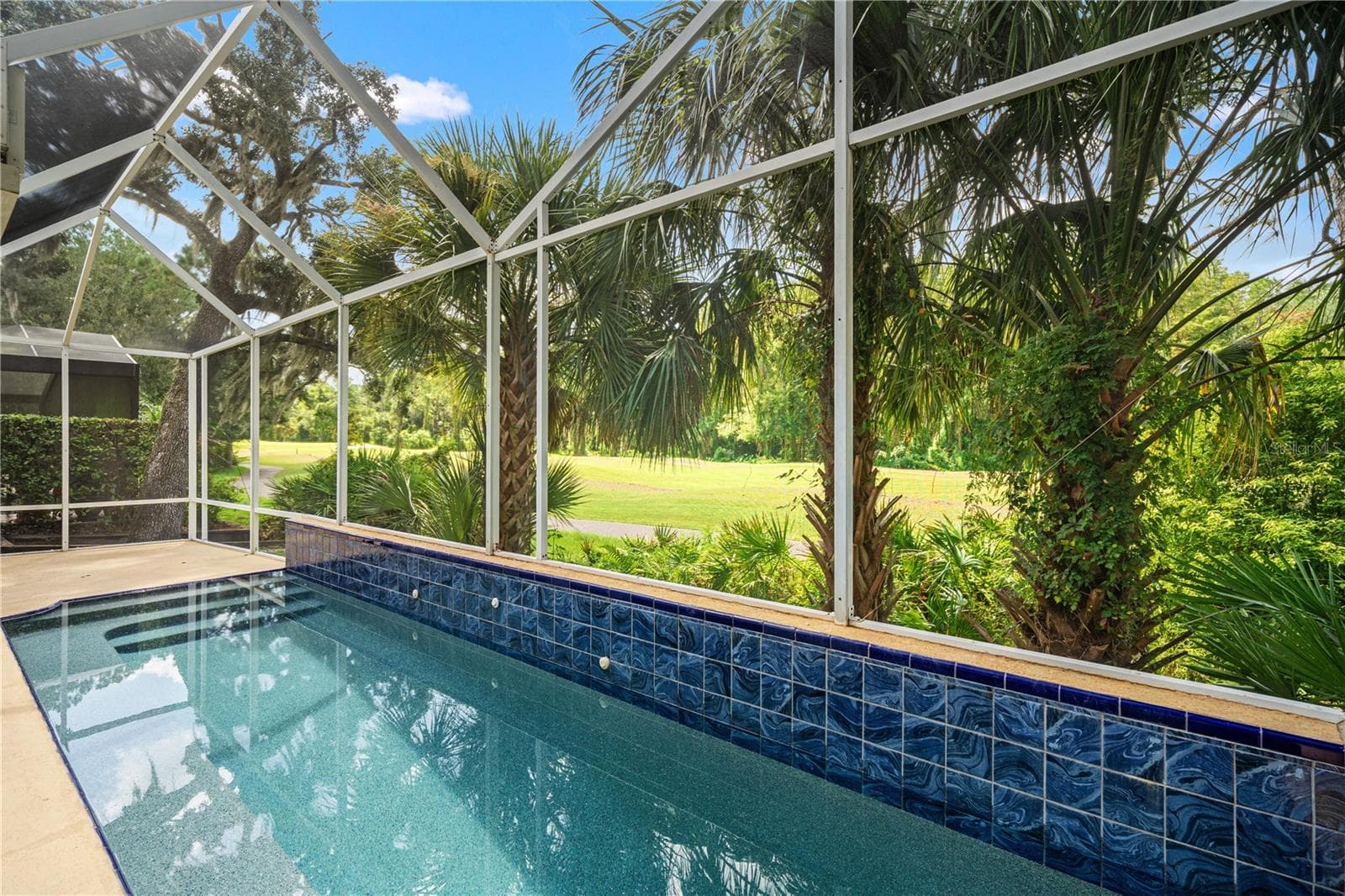 Single Family Residence at 6005 FAIRWAY PALMS CT, TAMPA, photo 3 of 58
