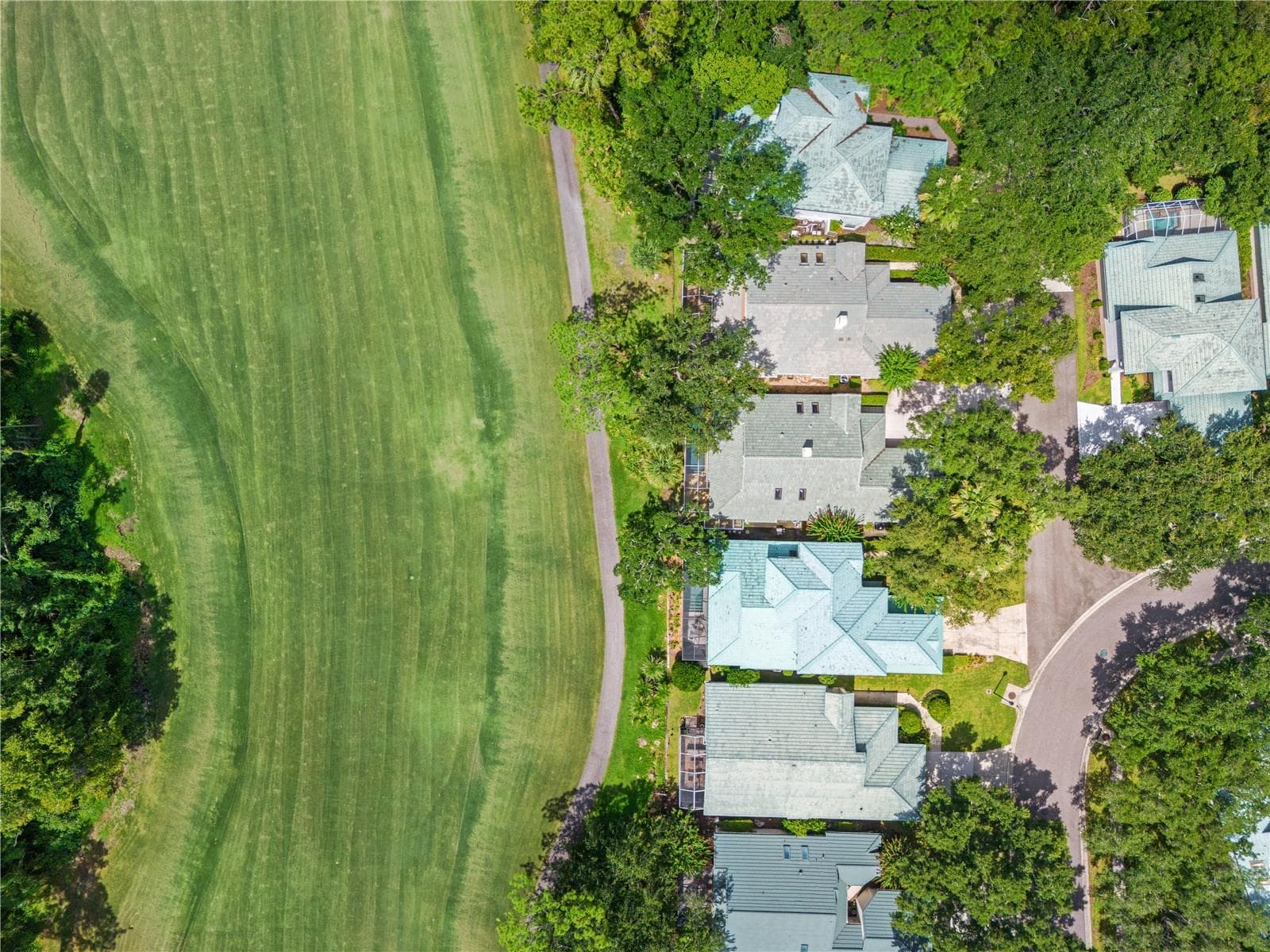 Single Family Residence at 6005 FAIRWAY PALMS CT, TAMPA, photo 47 of 58
